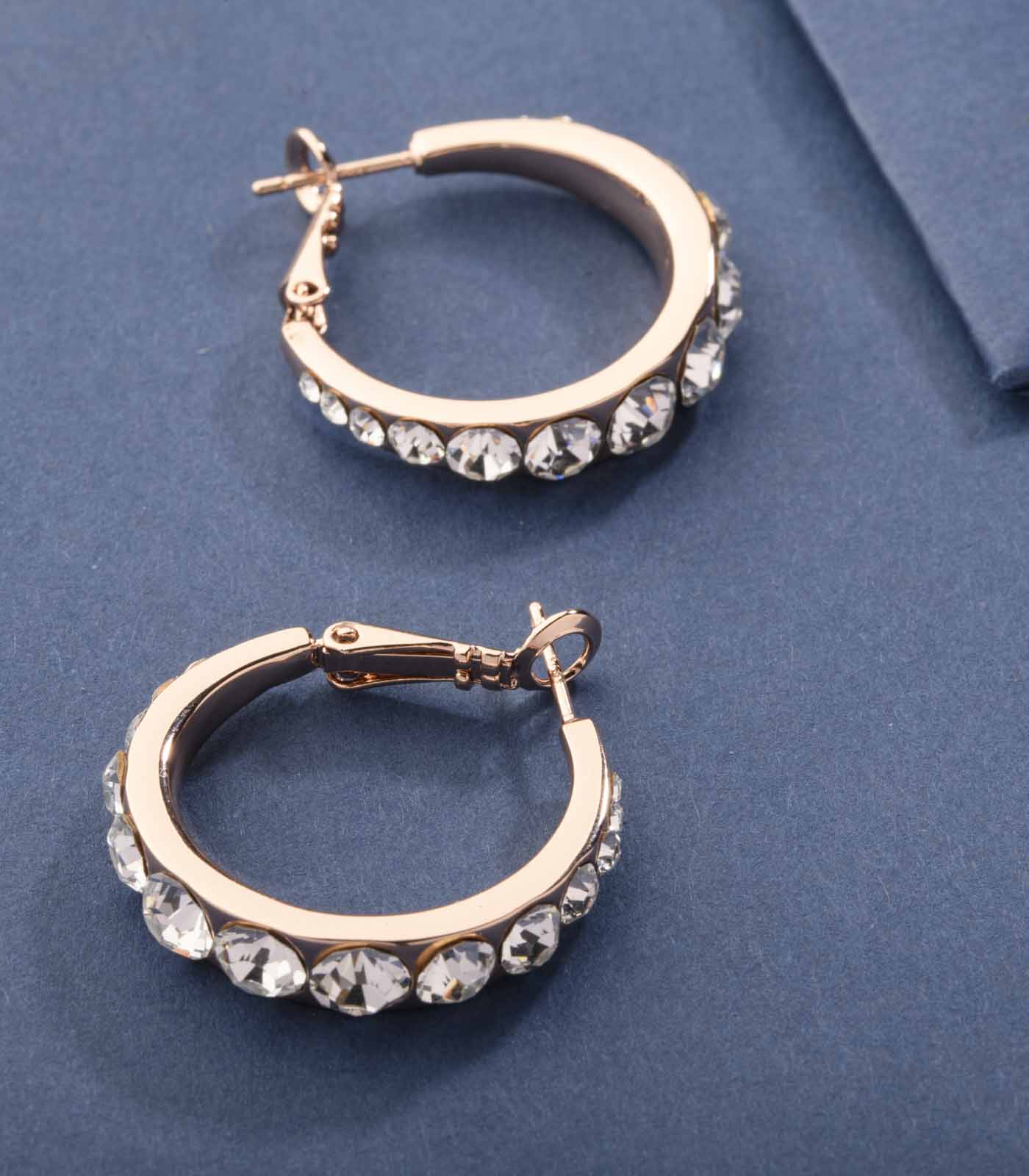Shiny Brass Plate Of The Sparkling Stones Earrings (Brass)
